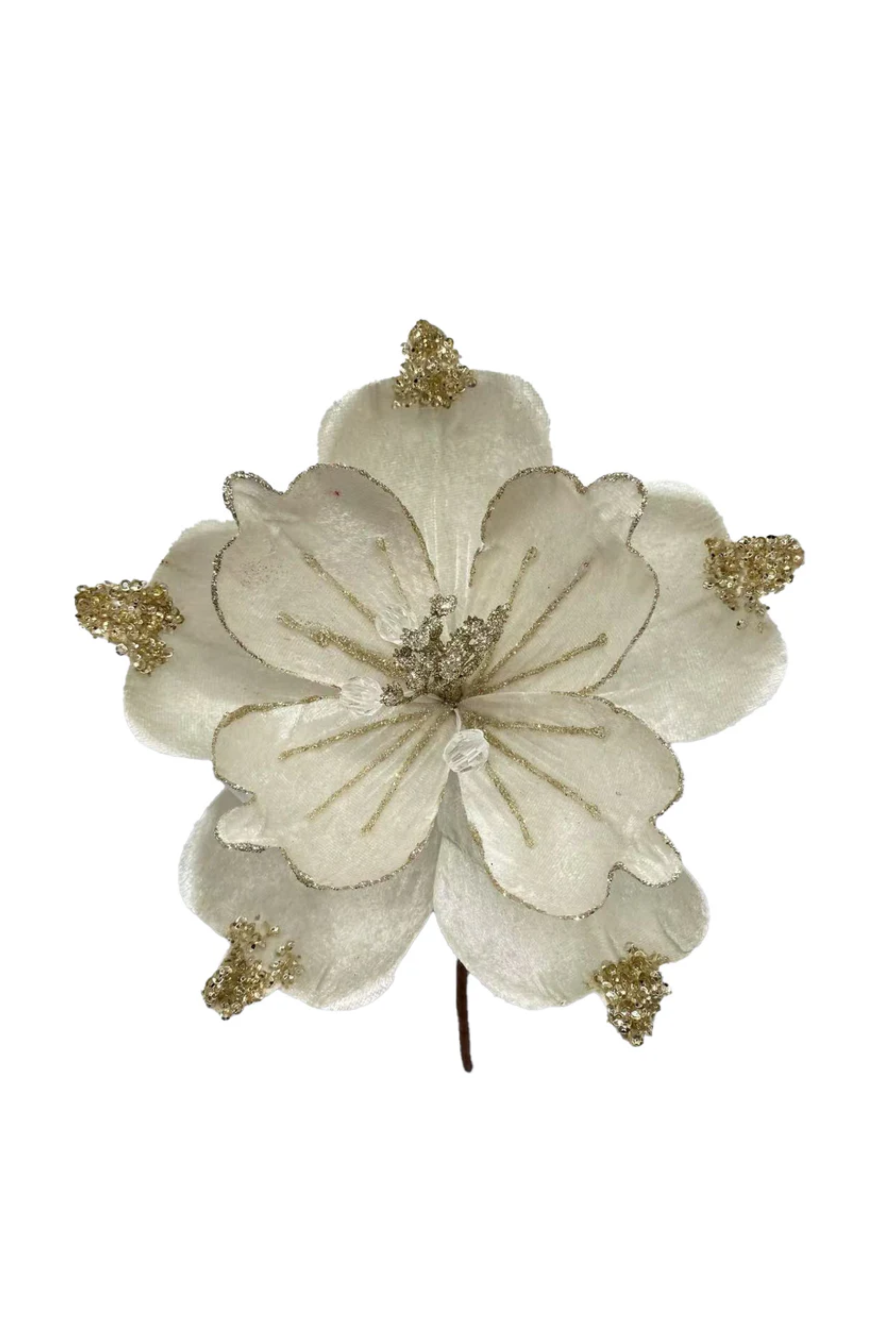 Gilded Magnolia with Ivory - 20cm