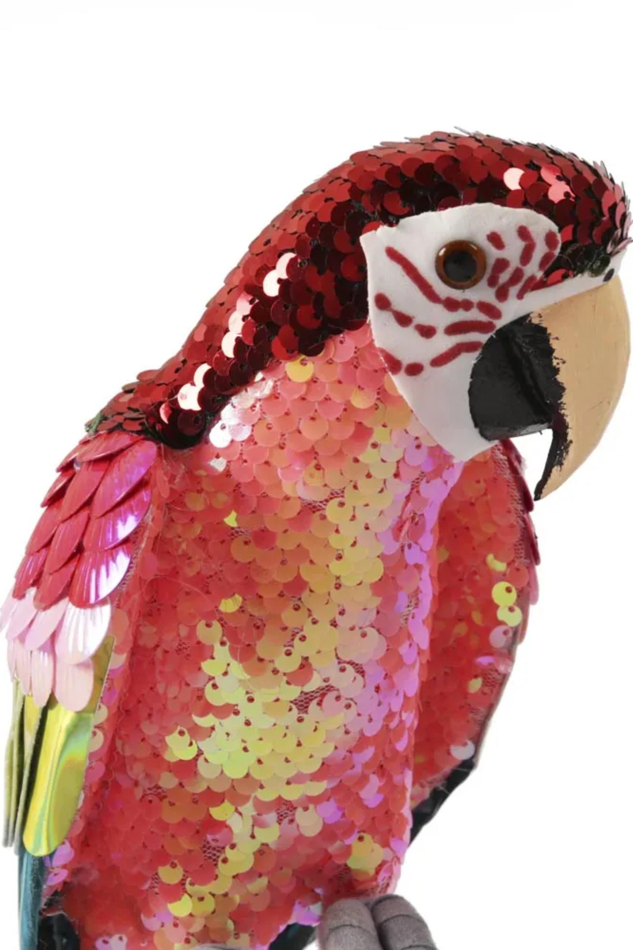 Majestic Stardust Parrot