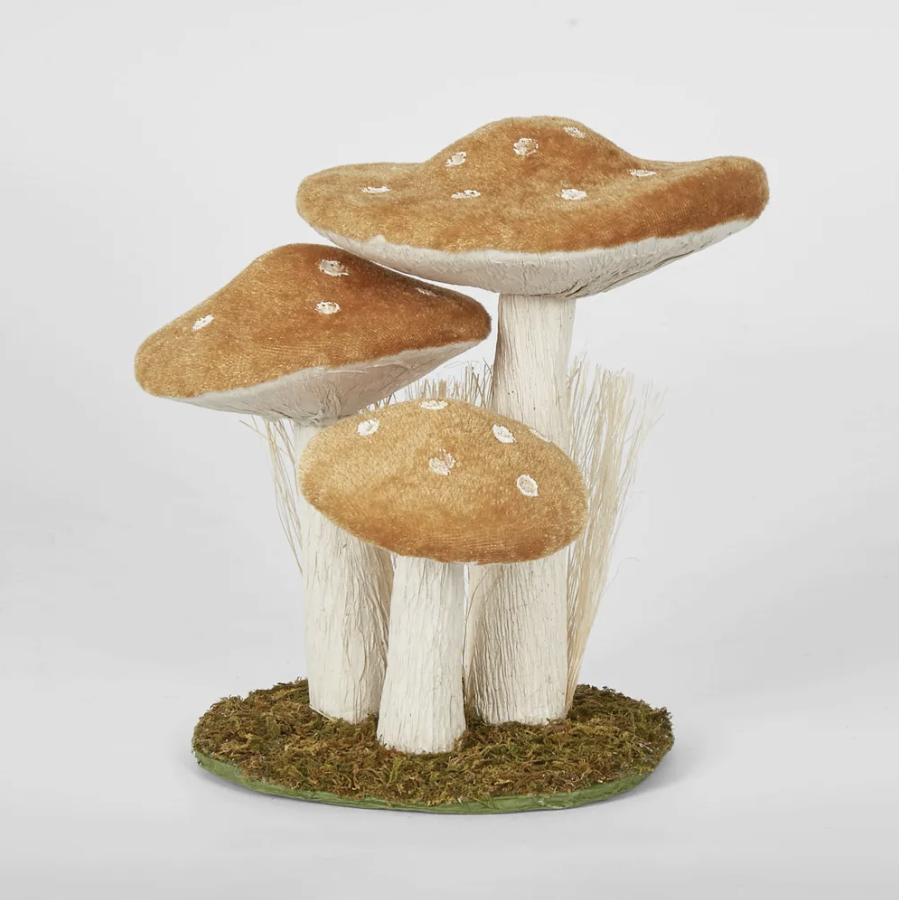 Forest Mushrooms - Orange