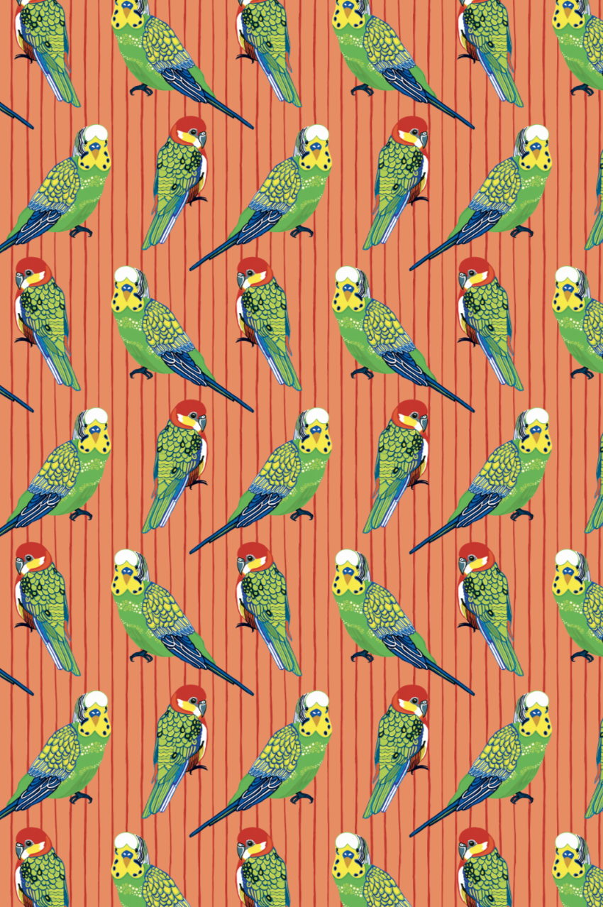 All Wrapped Up: Birds & Bugs