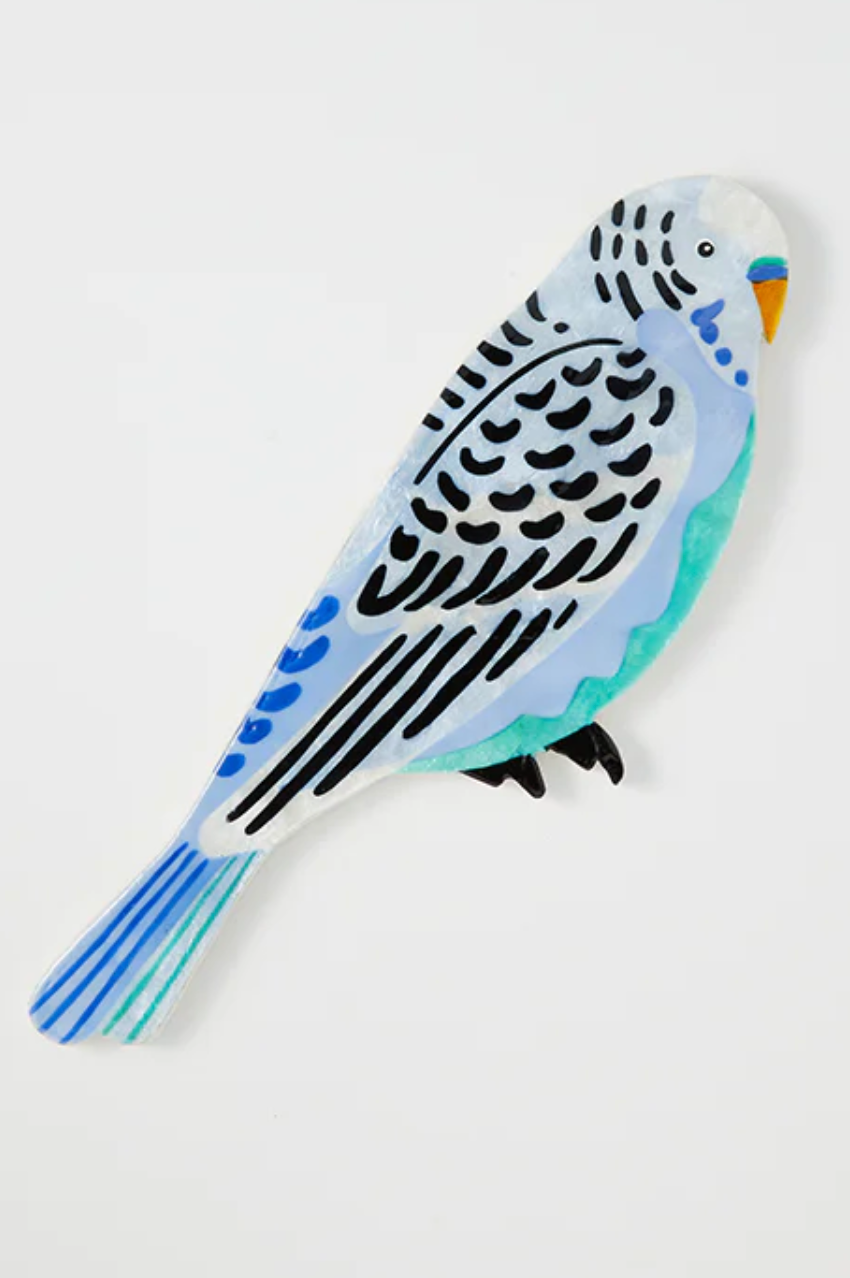 Budgie Wall Art