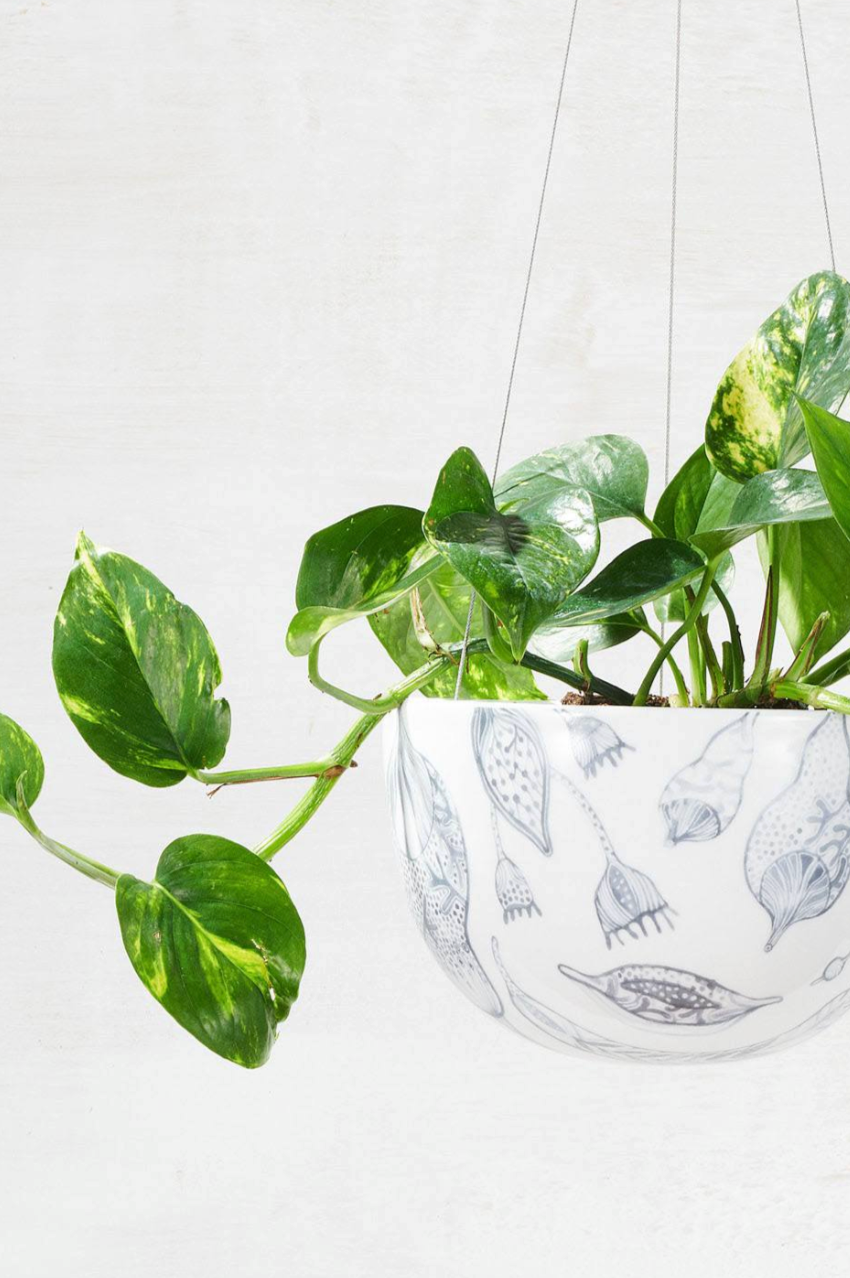 Hanging Planter - Bush Grey