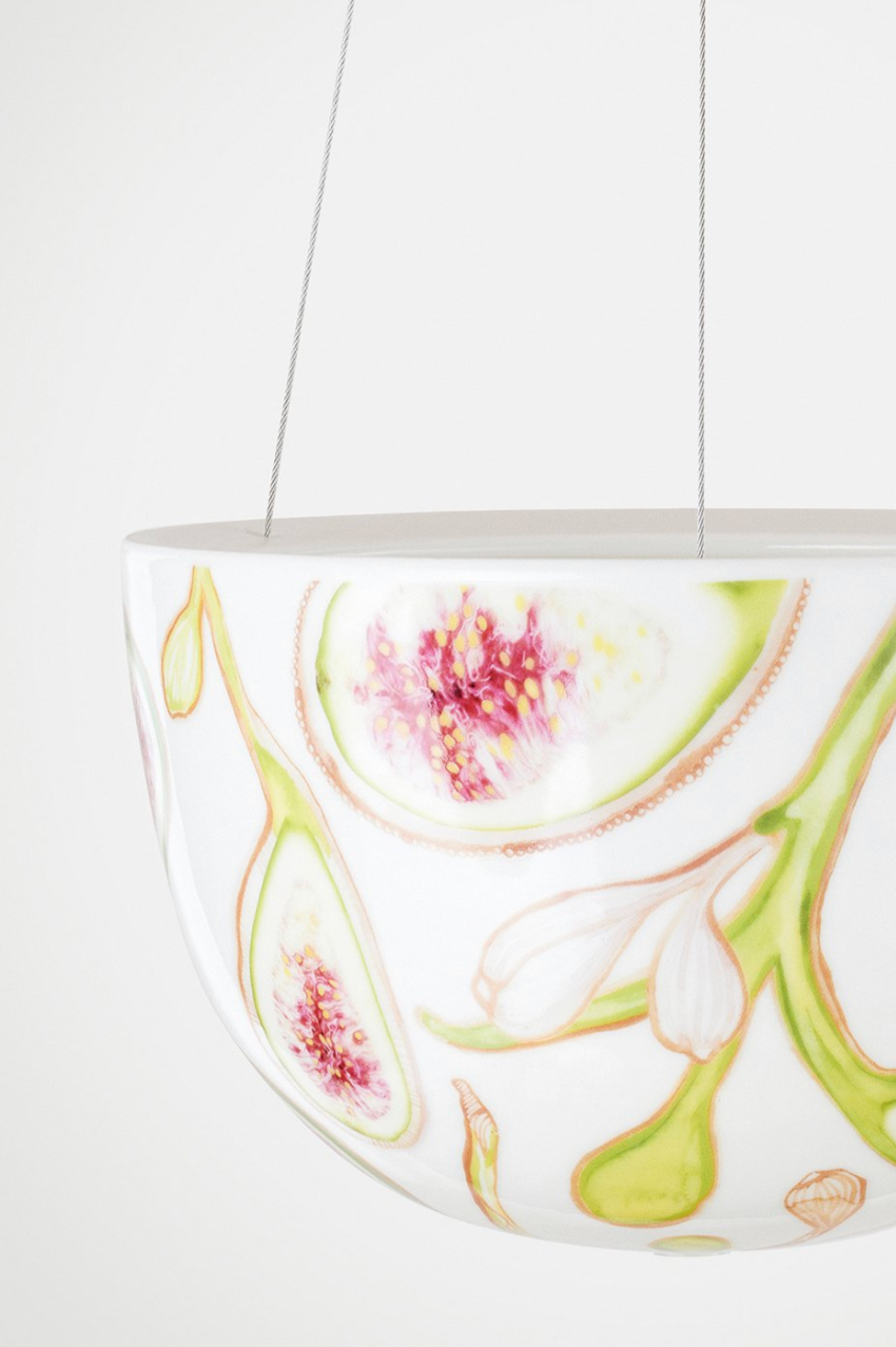 Hanging Planter - Fig Tree