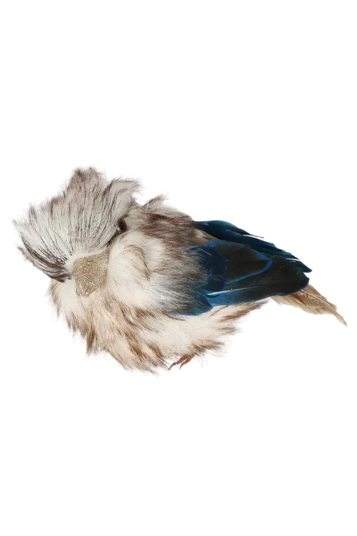 Kookaburra Small