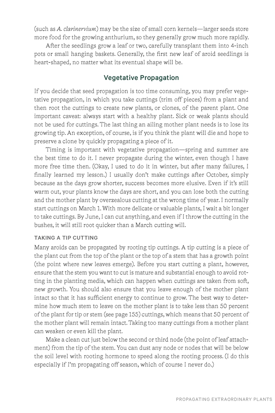 Welcome to the Jungle