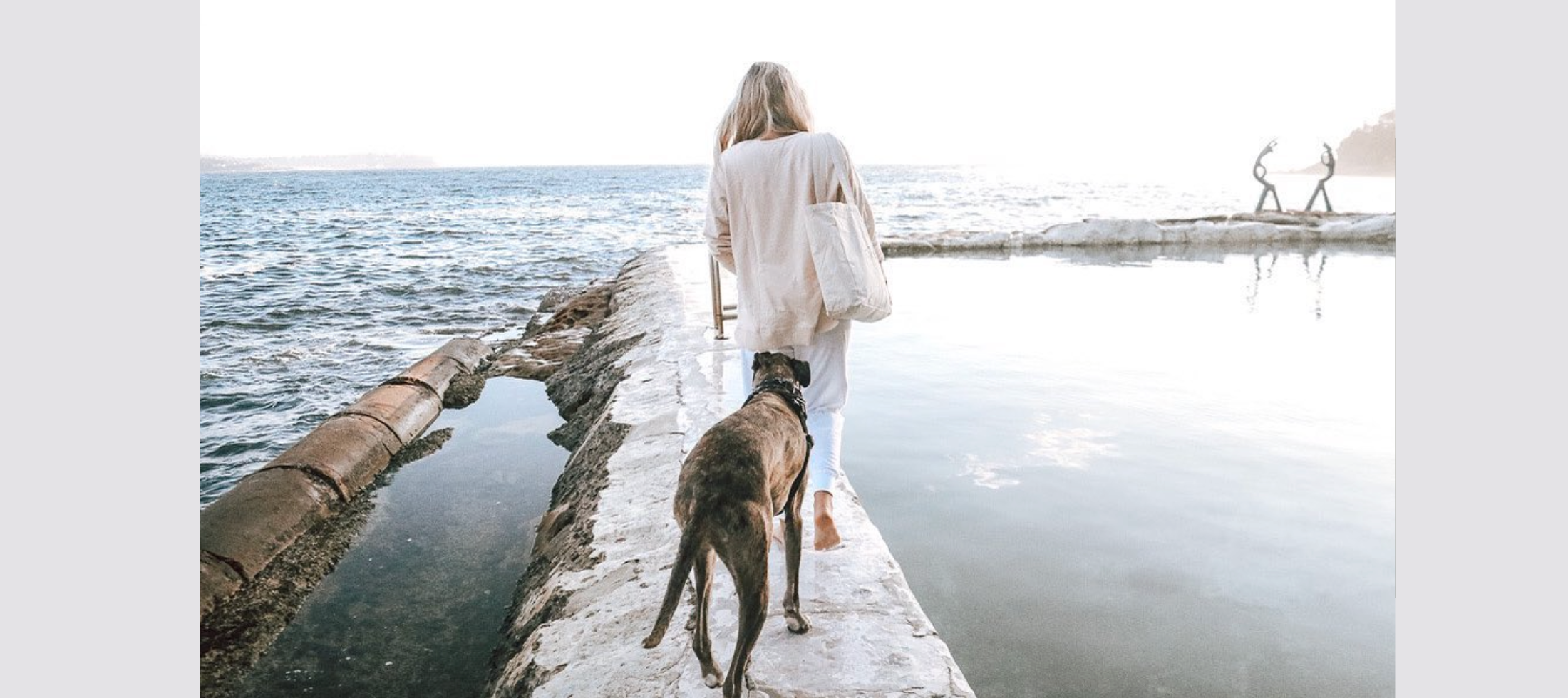 Holiday Deals  Don't Miss Out!