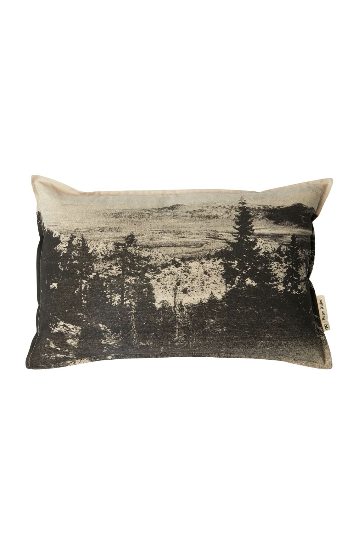 Black Forest Cushion