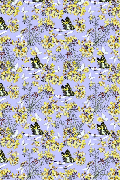 All Wrapped Up - May Gibbs