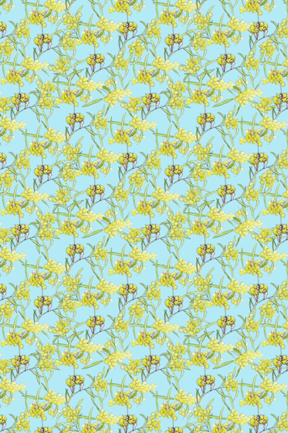 All Wrapped Up - May Gibbs