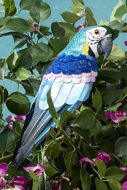 Azure Yellow Belly Parrot