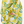 Billow Pocket Relaxed Tunic - Garden Print