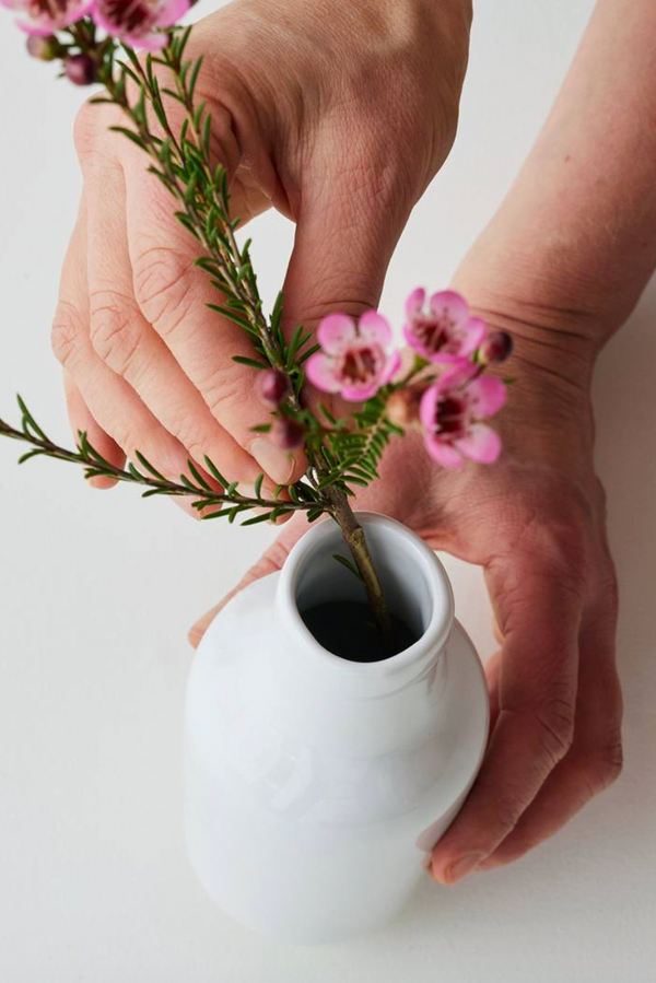 Botanic Vase - Wattle