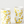 Ceramic Tumbler Set - Wattle