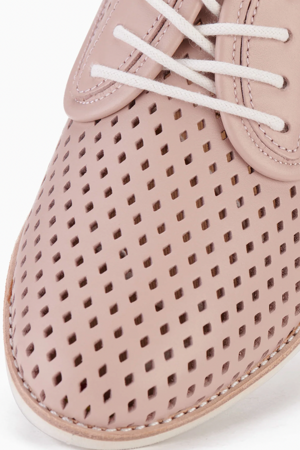 Derby Punch-Chalk Pink