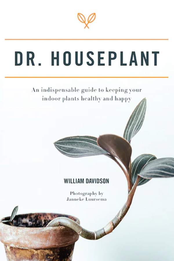 Dr Houseplant