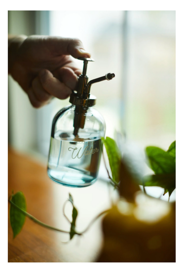 Glass Plant Mister