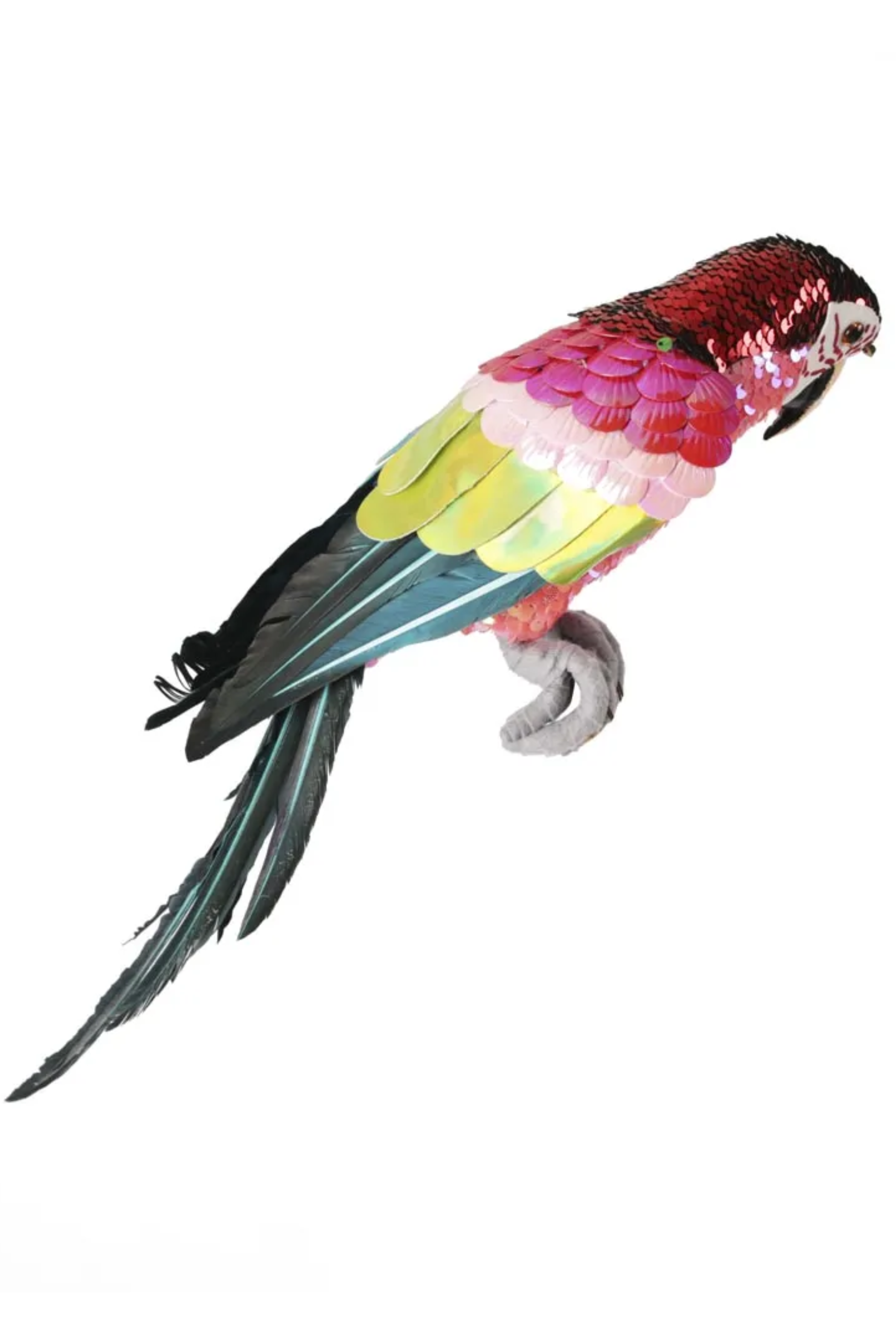 Majestic Stardust Parrot