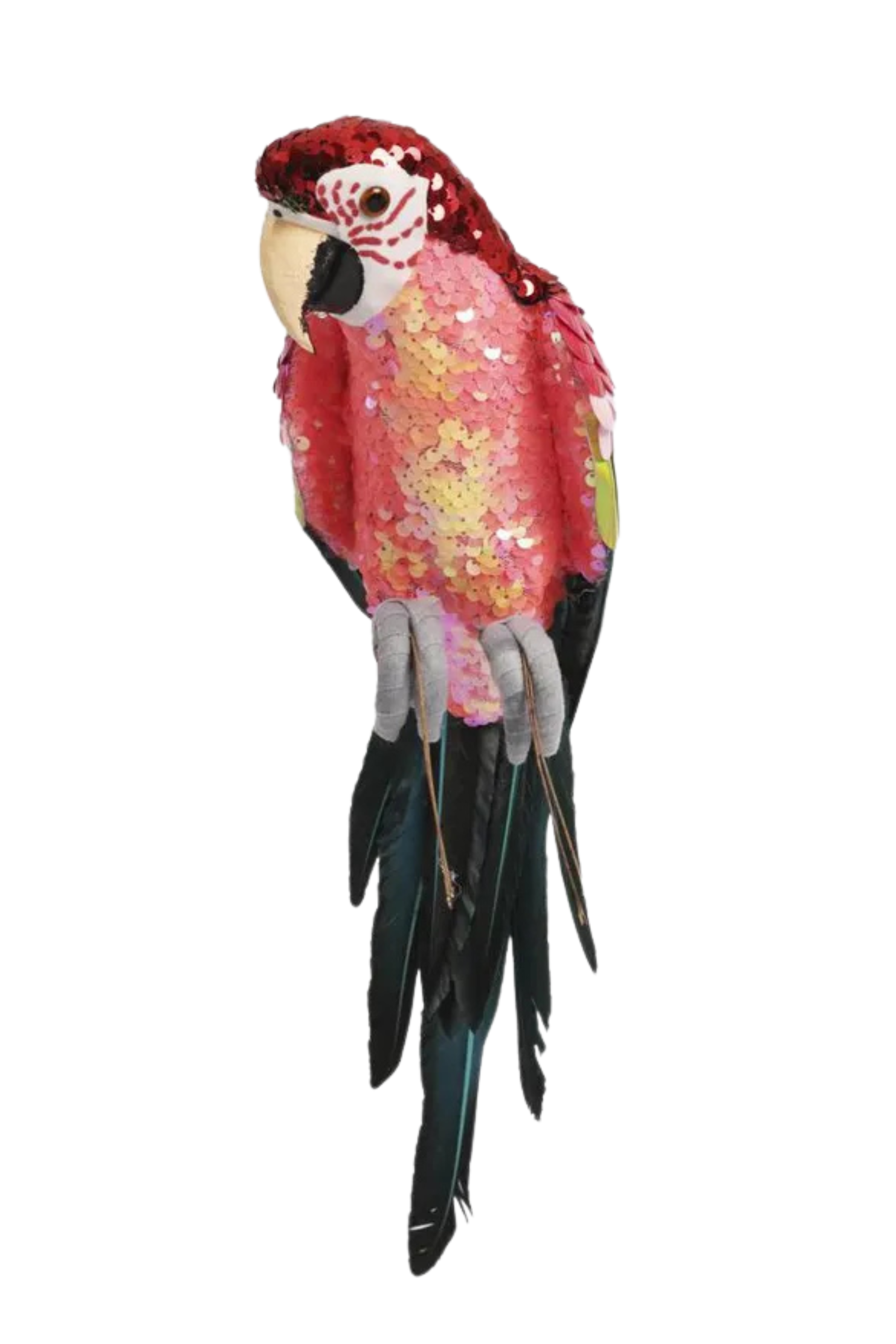 Majestic Stardust Parrot