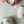 Mug Set - Hakea