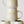 Mug Set - Wattle