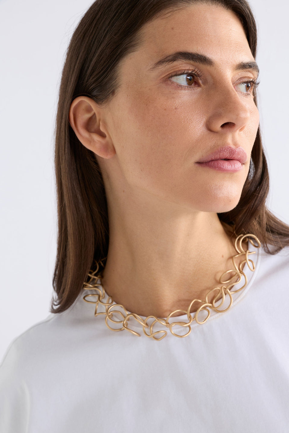Elk Orden Choker Necklace - Gold