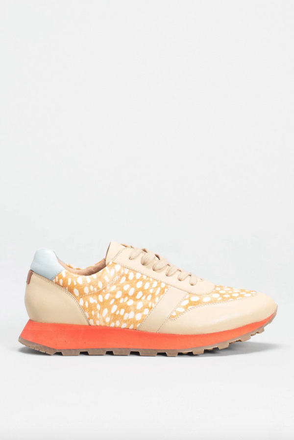 Orten Trainer