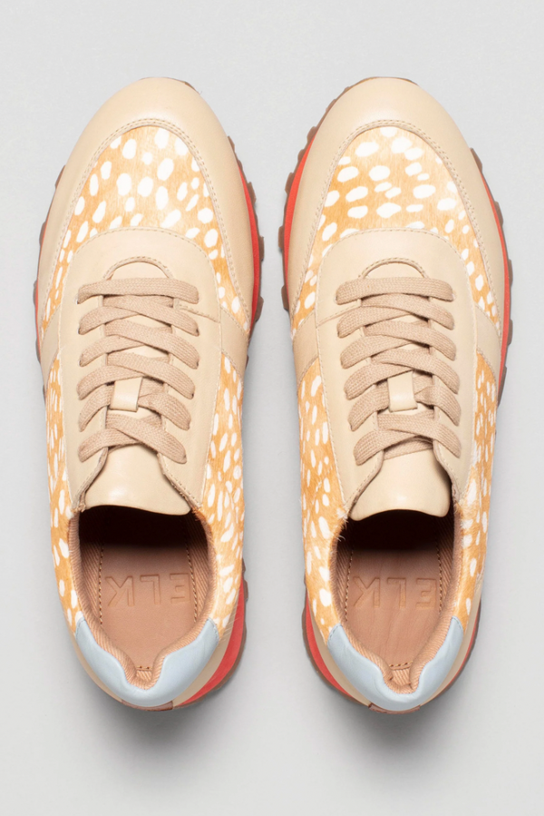 Orten Trainer
