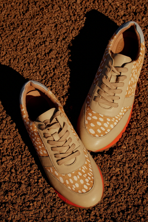 Orten Trainer