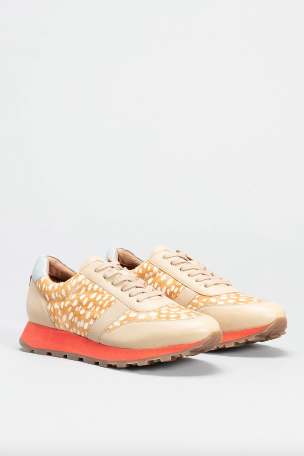 Orten Trainer
