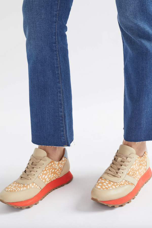 Orten Trainer