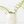 Pebble Vase - Wattle Sprigs