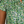 Prairie Floral Blouse - Print