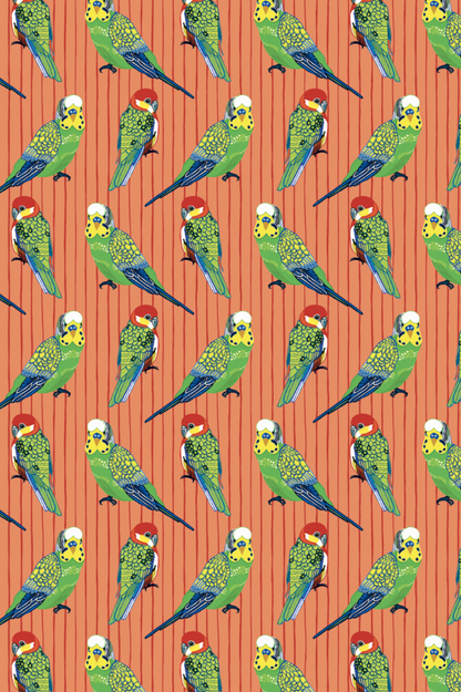 All Wrapped Up: Birds & Bugs