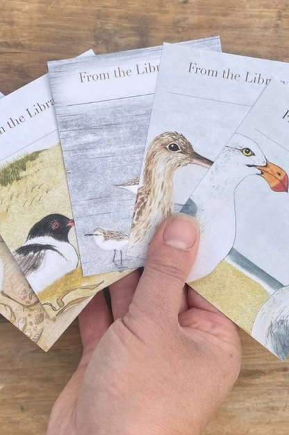 Bookplates - Beach Birds Set 5