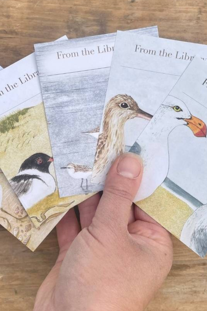 Bookplates - Beach Birds Set 5