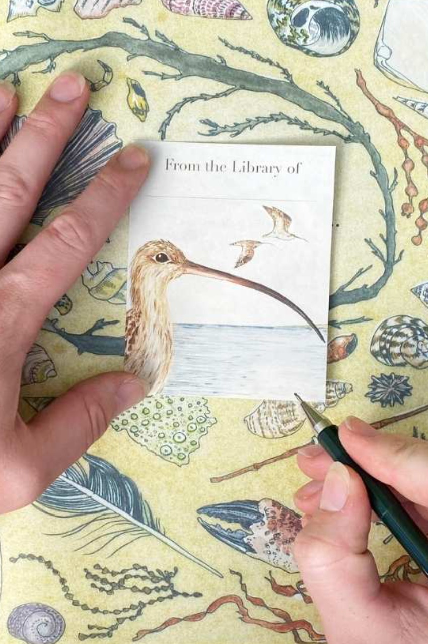 Bookplates - Beach Birds Set 5