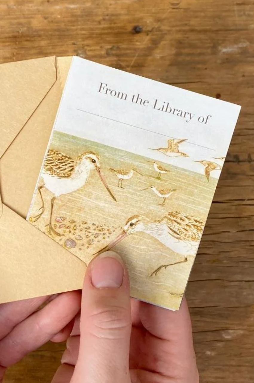Bookplates - Beach Birds Set 5