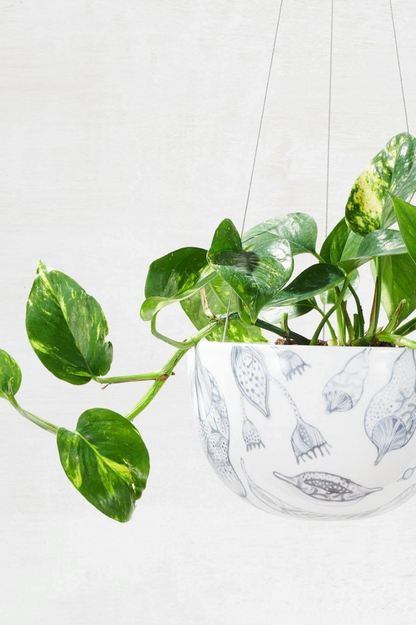 Hanging Planter - Bush Grey