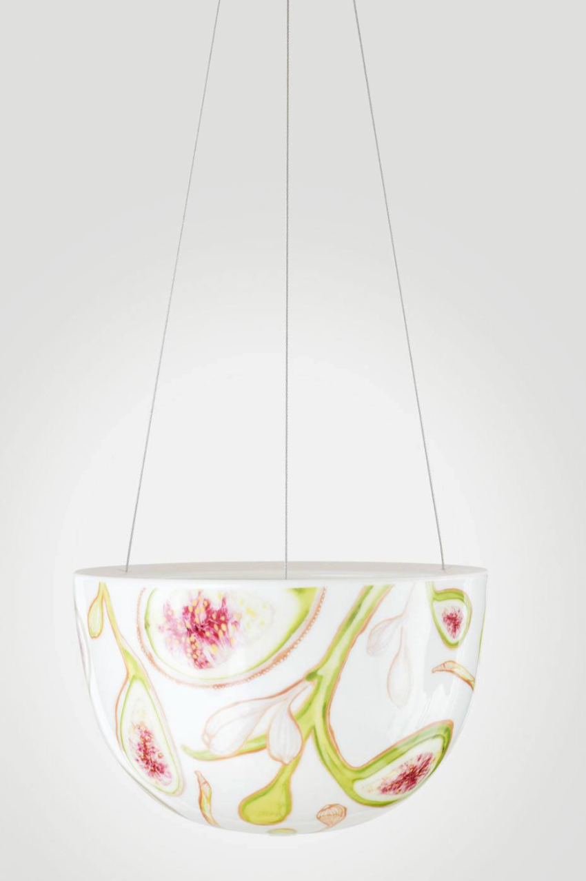 Hanging Planter - Fig Tree