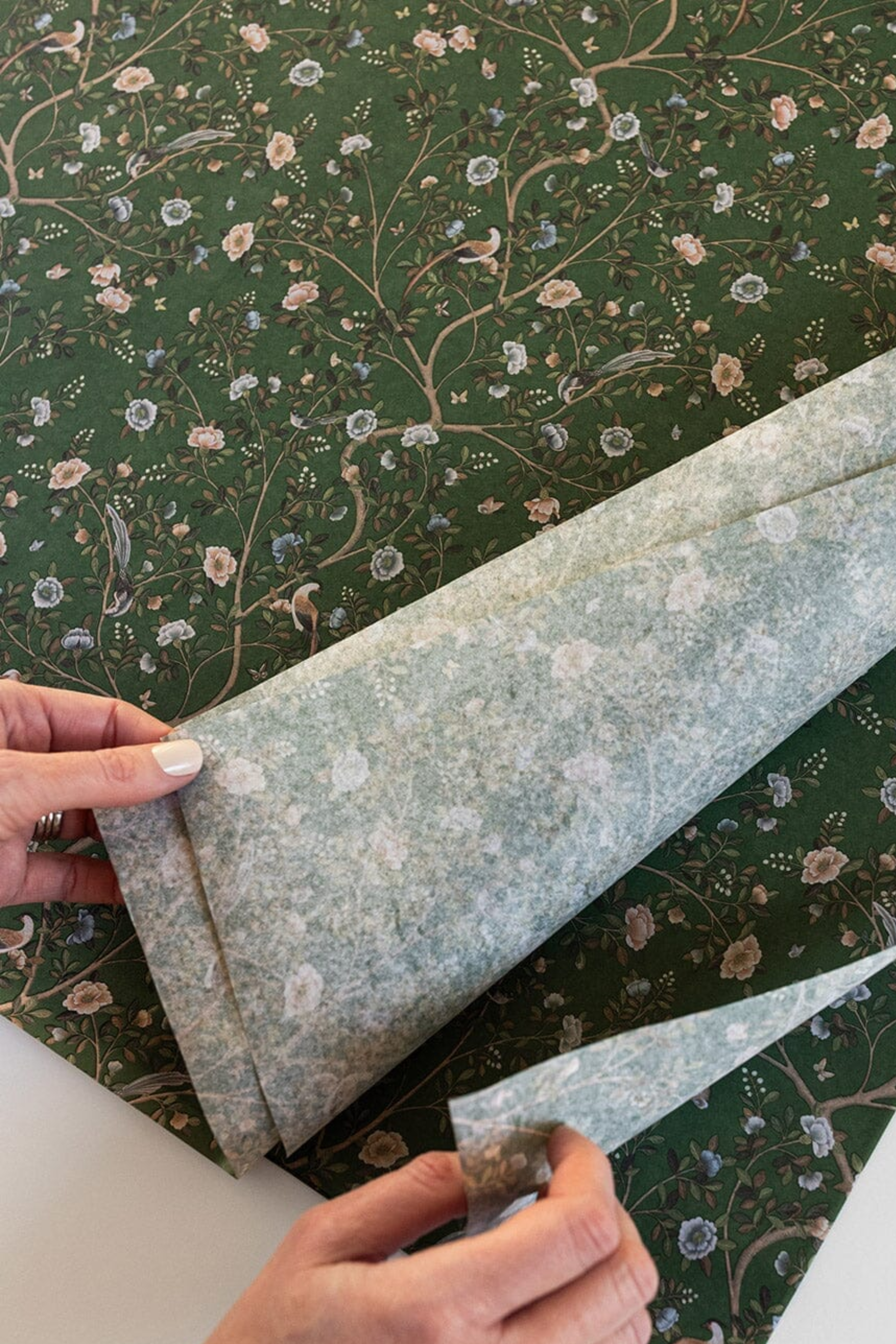 Tissue Paper - Camellia Tree 4 Pk