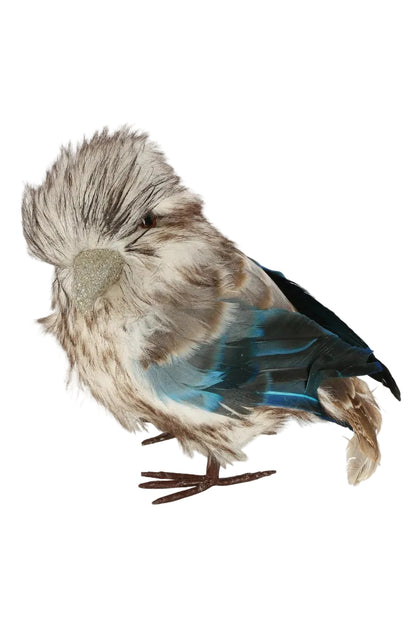Kookaburra Medium