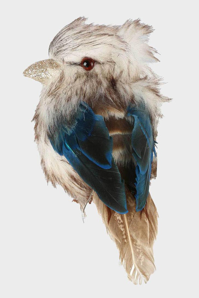 Kookaburra Small