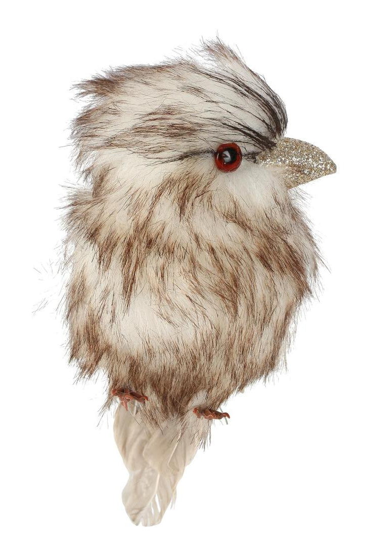 Kookaburra Small