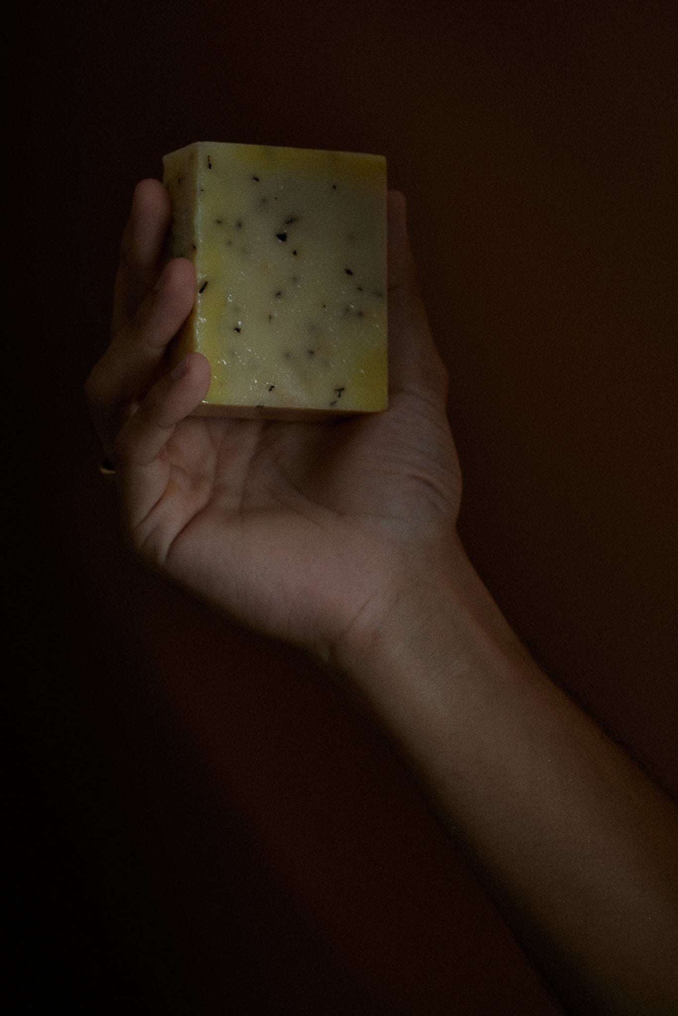 Botanical Soap Bar