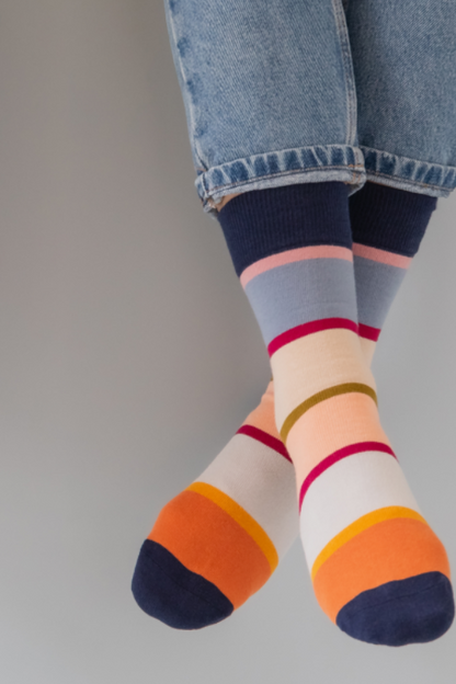 Remember - Socks 41