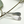 3 Leaf Spoon Earrings ER27