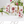Pressed Flower Collection - Trio