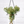 Merchant Vase