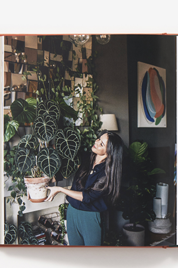 Plant Tribe