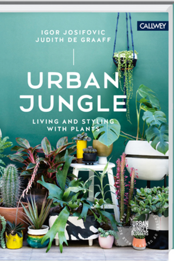 Urban Jungle